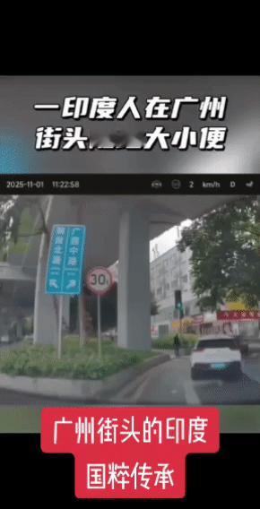 印度阿三滚出中国！
11月1日，广州某高架桥墩旁，一名男子居然旁若无人随地大小便