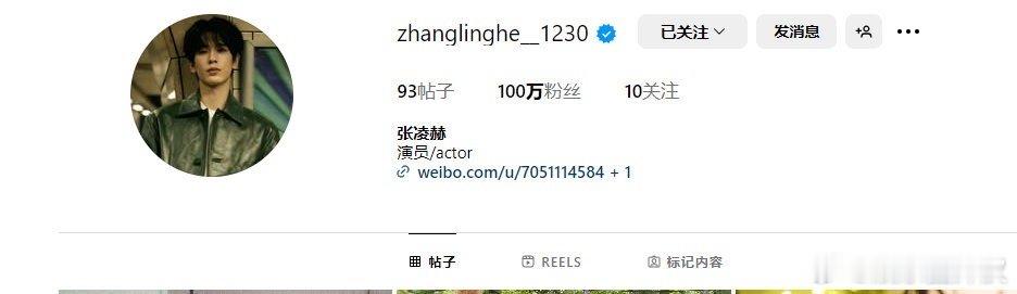 张凌赫ins达成百万粉，去年才开通，今年就破了百万，这海外影响力什么水平 ​​​