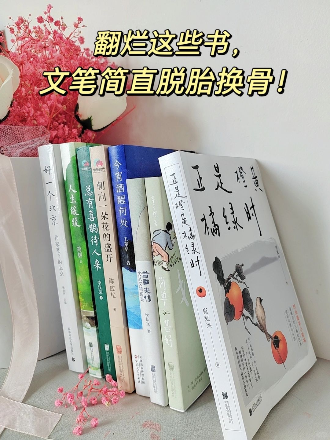 文笔美到令人心颤❗恨不得全书背诵！