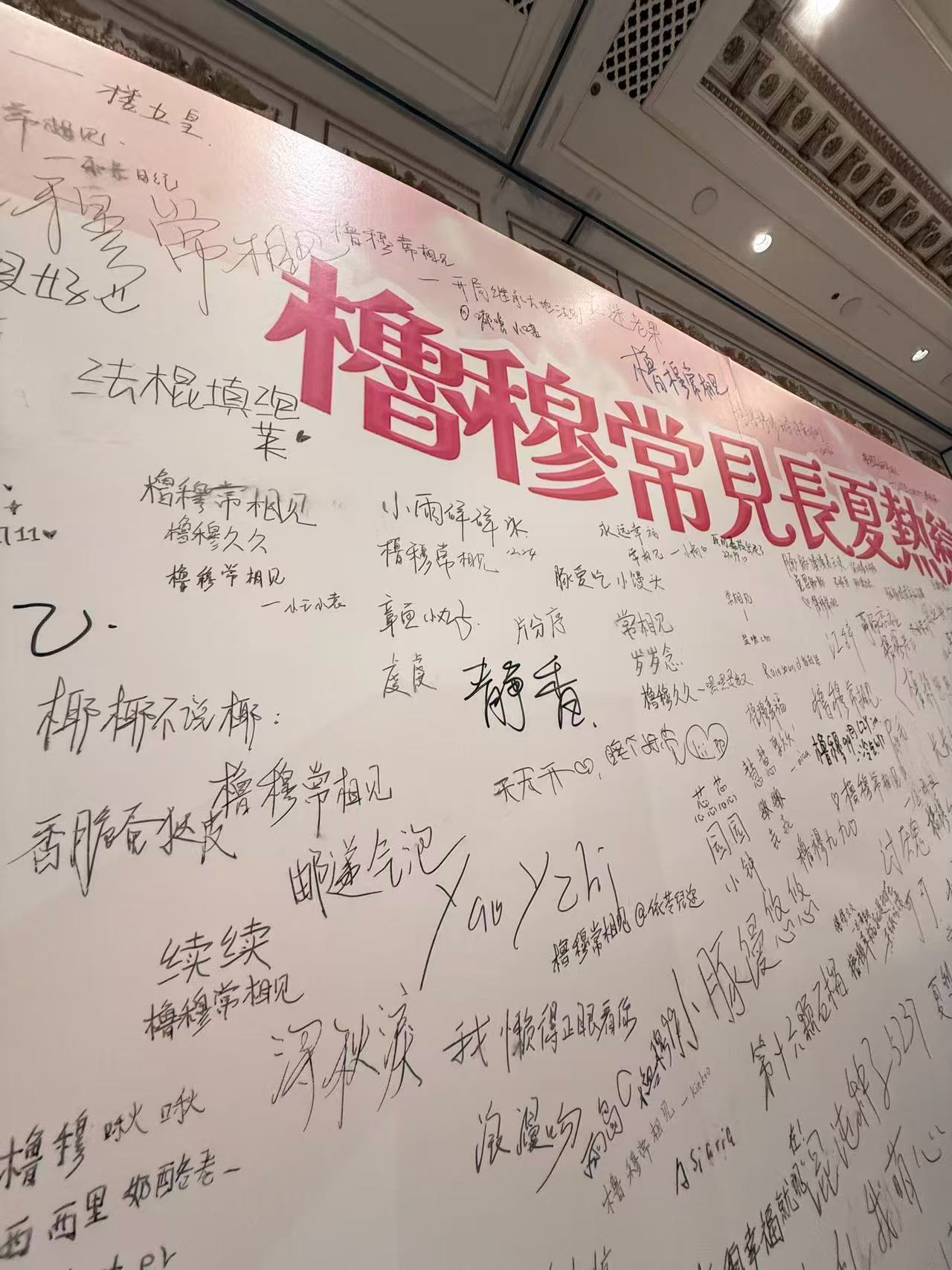 橹穆久久  专栏 · 幸福島島民( ˃ ᵕ ˂ )✰.ᐟ.ᐟ