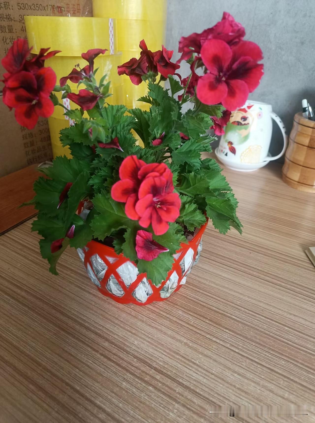 我在老家带孩子快三个月了，白天娃跟我一整天，他爸妈去上班。

你说年轻人，他们不