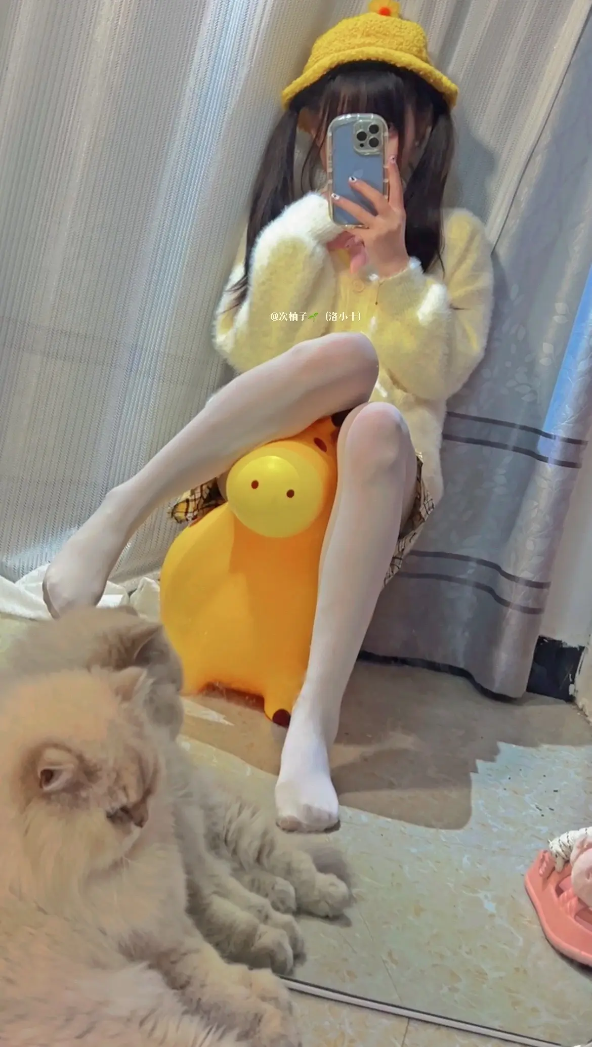 做我的小猫～
