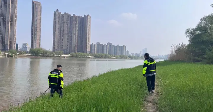 长江|南京洲泰社区禁捕卫士护航长江生态环境