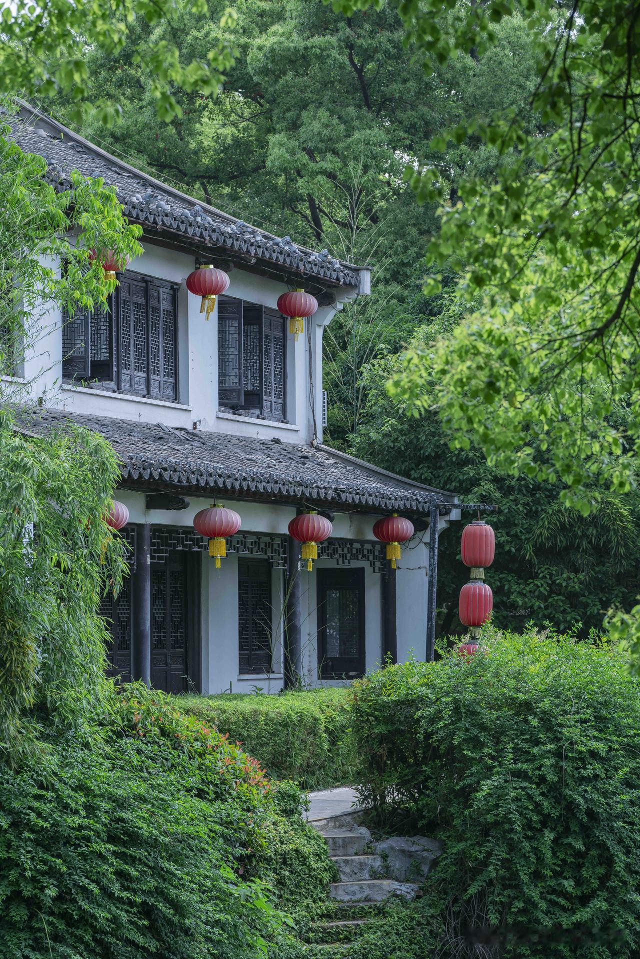 我的初夏｜白鹭洲畔枇杷初黄，桥影倒映清波

金陵初夏，白鹭洲畔
临水枇杷缀满金黄