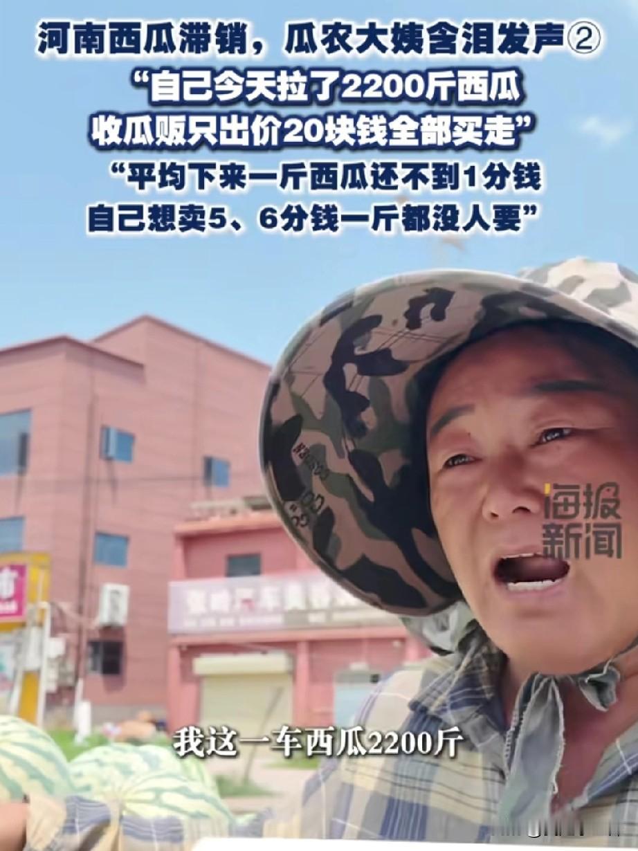 你绝对想不到，
一车2200斤的成熟西瓜，
商贩只愿意出20块钱。
一位河南农村