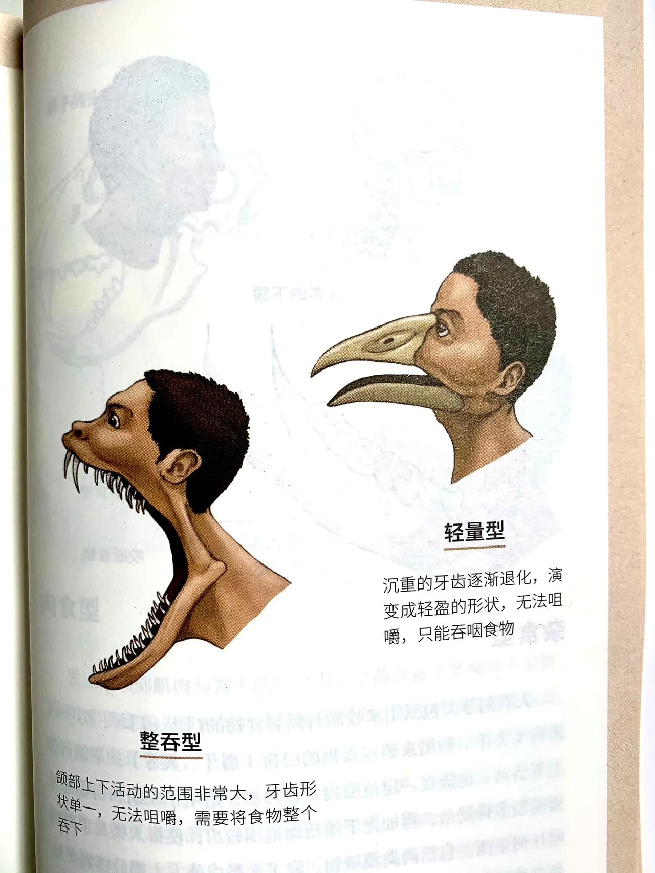 看完这绘本，我大为震撼 ​，书名：《跟动物交换身体》，一本印象非常深刻的书，相信