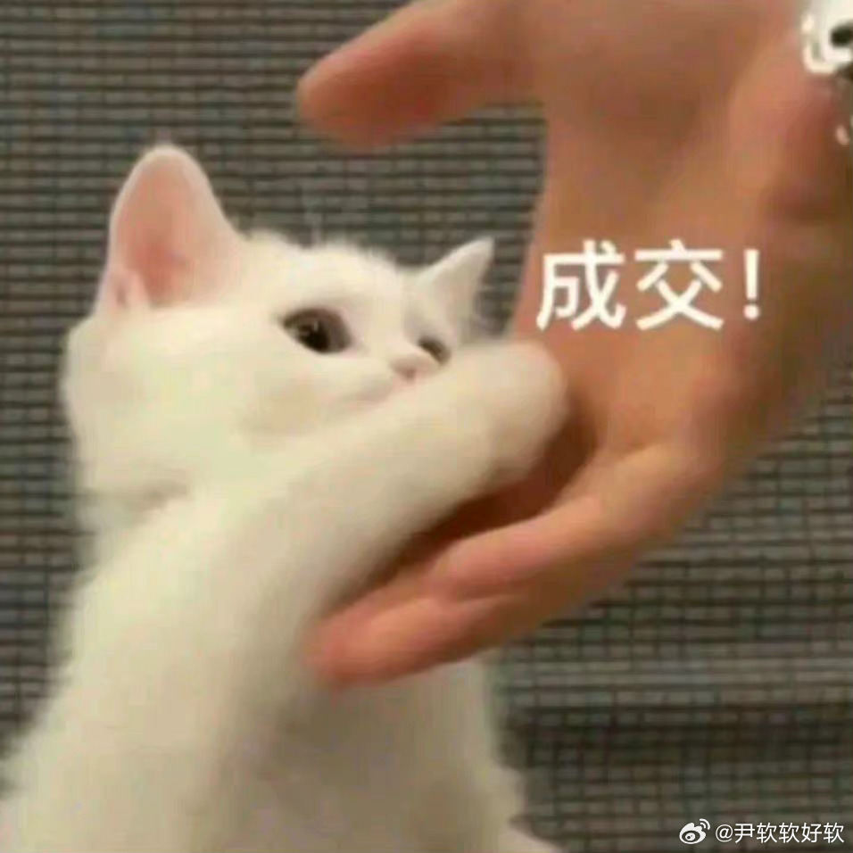 咪五月买了好几件可爱的熊熊短袖不愧是熊熊软咪