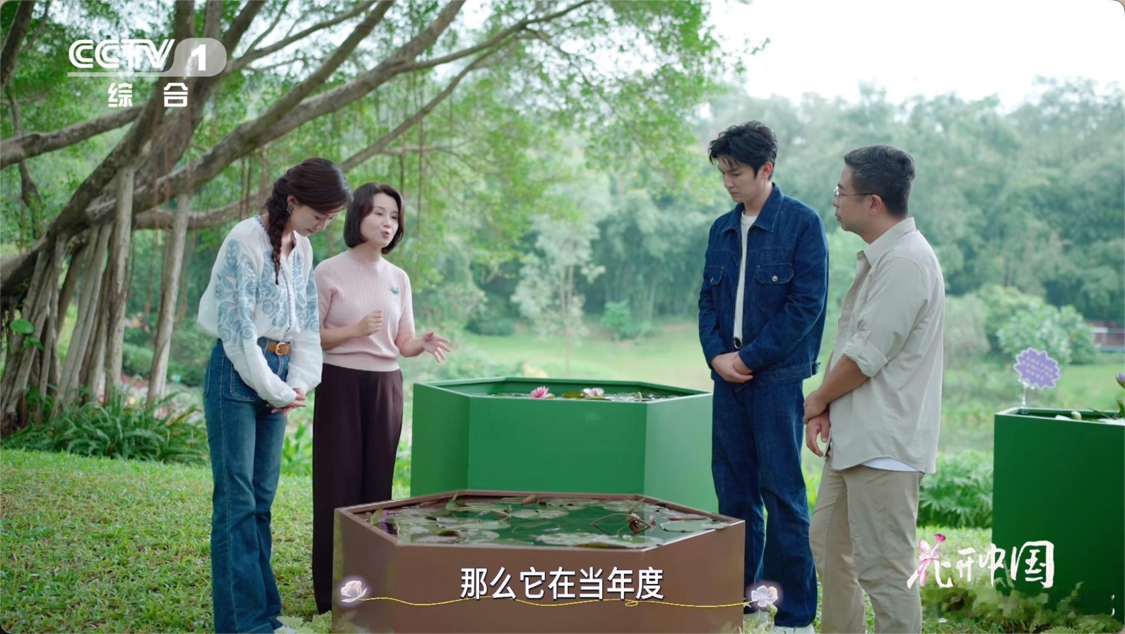 17岁少年在家种出冠军睡莲不怕冷也不怕热的花 17岁就解锁世界级育种成就，培育的