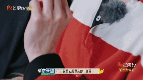 范世錡把小狗骨灰做成沙漏项链范世錡的沙漏项链里，装着对小法斗八戒的满满牵挂[捂嘴