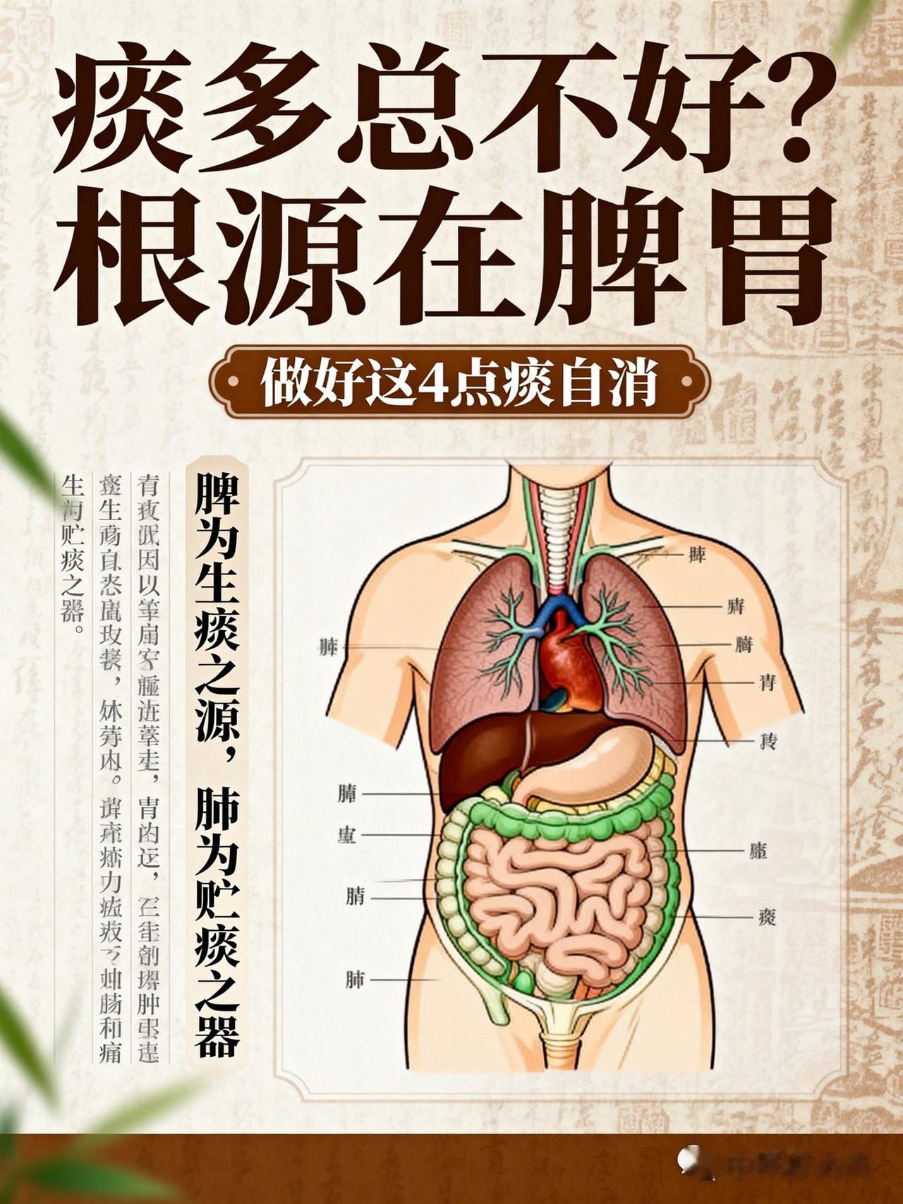 痰多总不好？别瞎化痰！根源在脾胃，做好这 4 点痰自消
大家好，我是中医陈大夫！