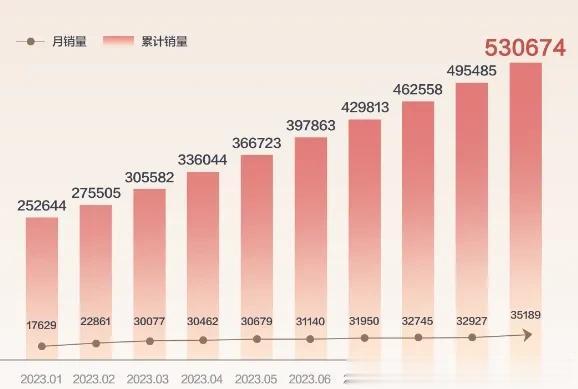 35189辆！比亚迪海豚的10月销量是35189辆！这是海豚连续8个月的月销量超