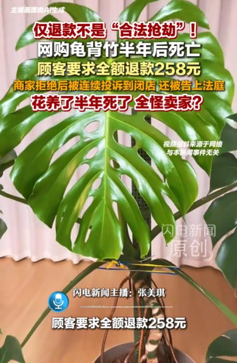 “欺人太甚！”10月25日报道，一顾客网购龟背竹后，转头申请仅退款，退款理由是半