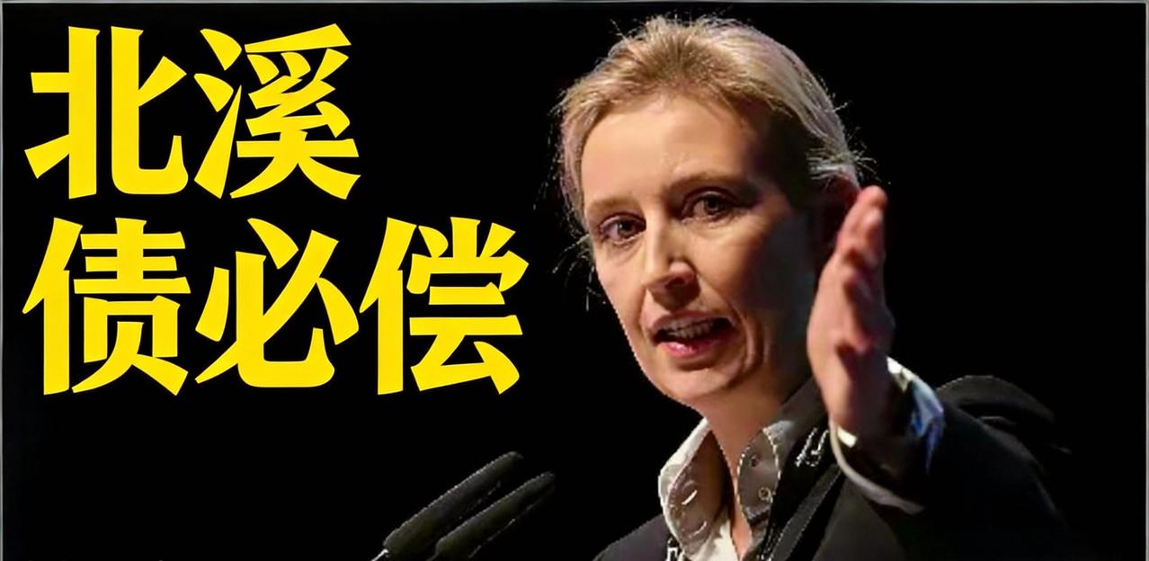 魏德尔凭啥叫板泽连斯基？手握25%民调支持率，还攥着北溪炸管实锤证据！

魏德尔