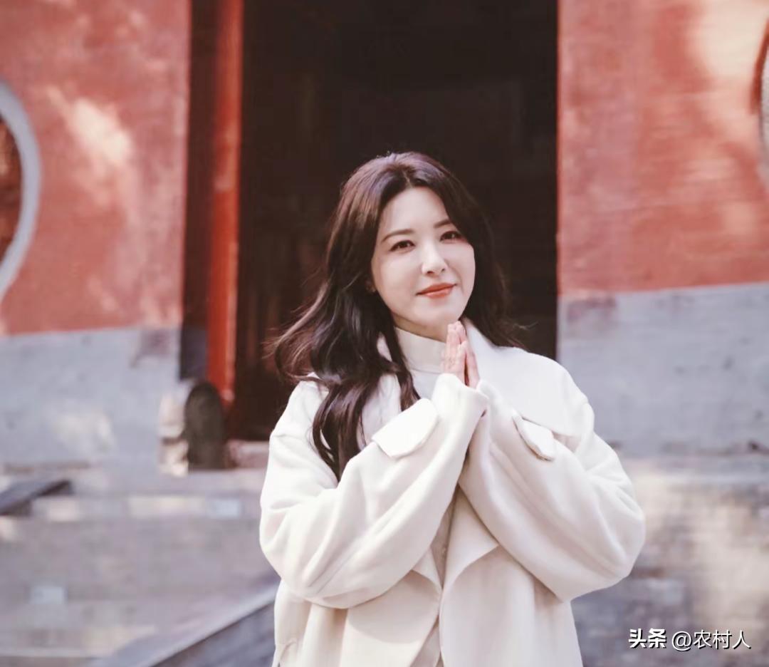 曾黎参观少林寺时，和少林寺延淀师父一张珍贵的合影。两人同步摆出武术扎马步出拳姿势