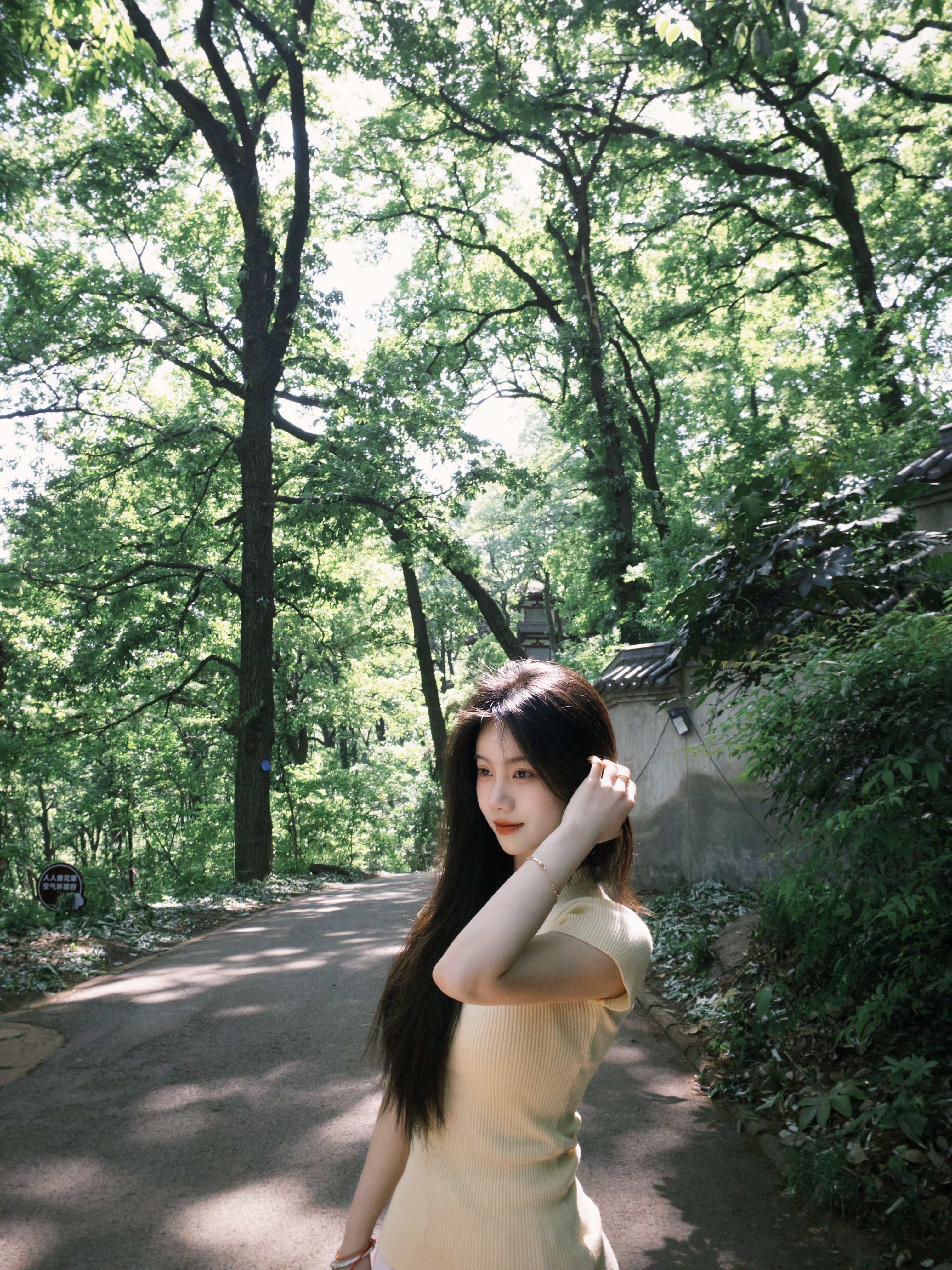 🌳‧₊*🐾🍃˖＊春知晓梦不觉 恰似你我当年 ​​​