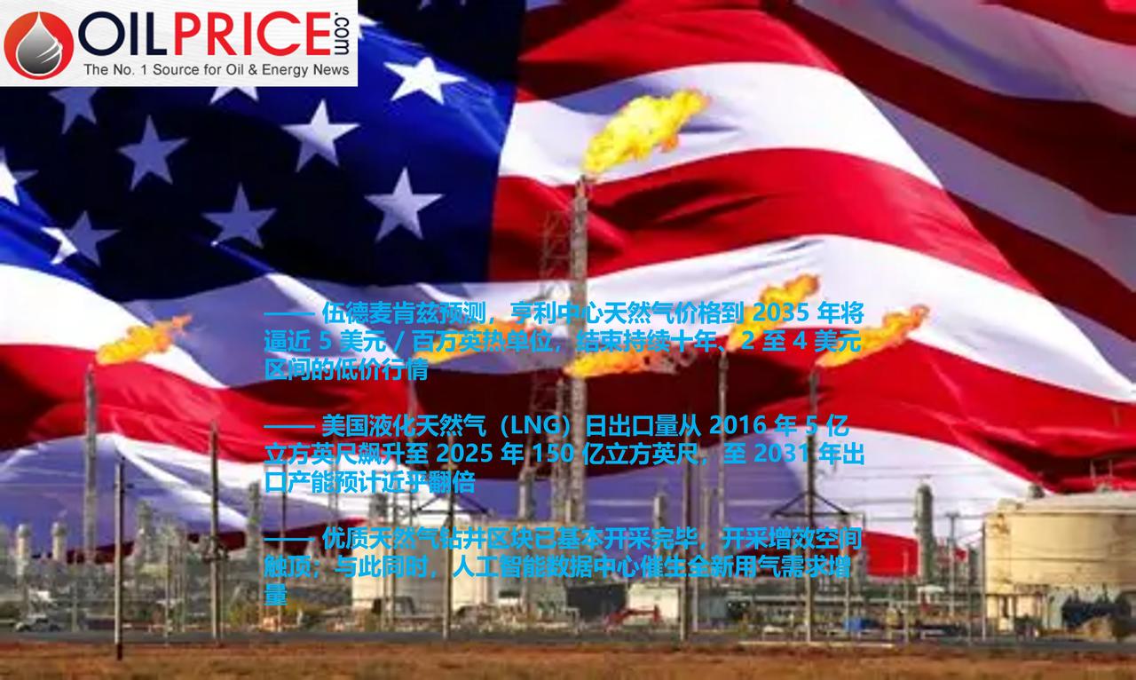 伍德麦肯兹表示，美国廉价天然气时代或将落幕

伍德麦肯兹分析师称，人工智能数据中