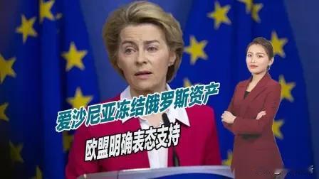 11月27日，英国《金融时报》报道称，欧洲清算银行发出警示，若欧盟执意推进使用被