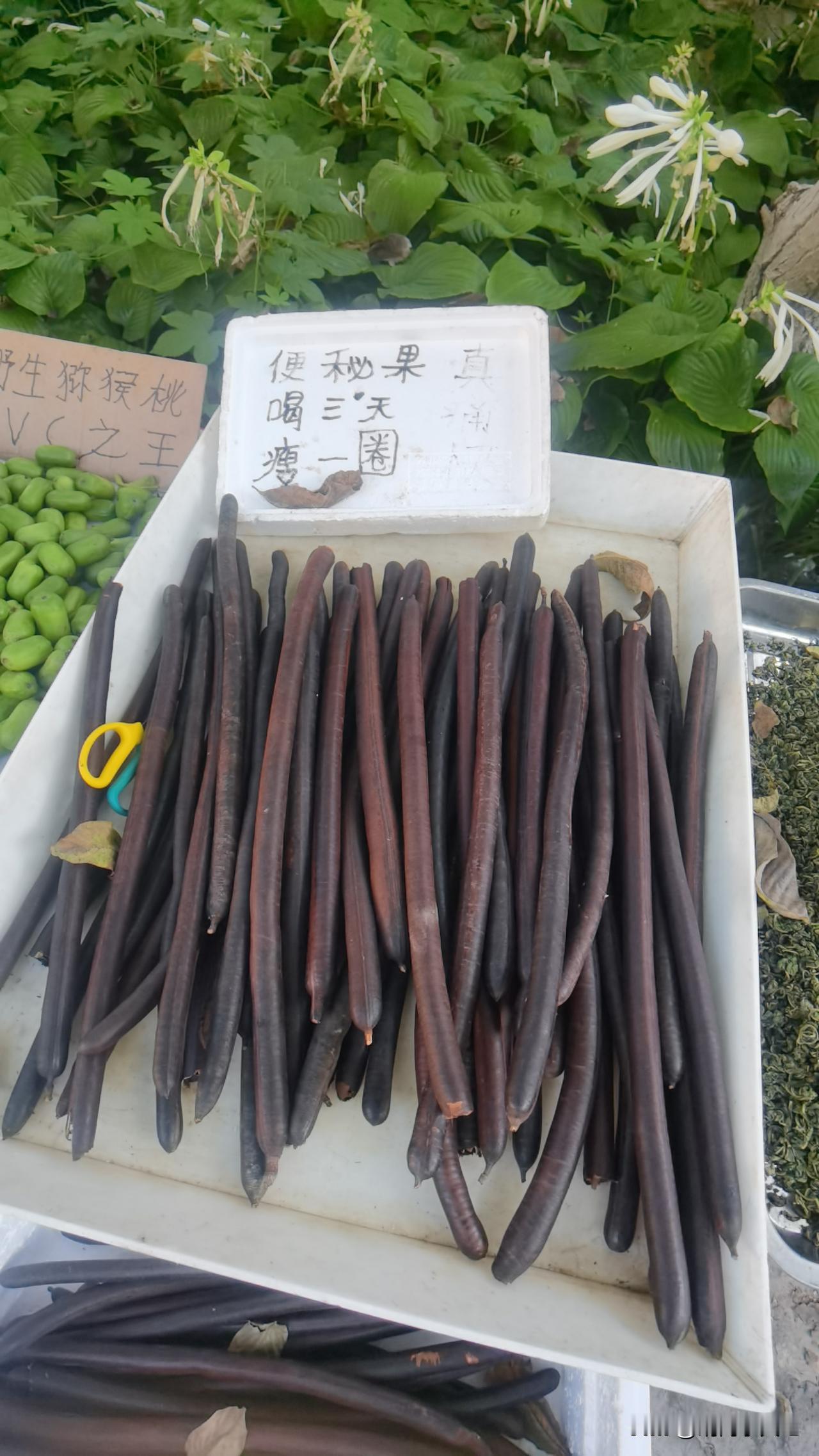 请问便秘果是什么果？好吃吗？能治疗便秘吗？在天津西井峪村看到的。