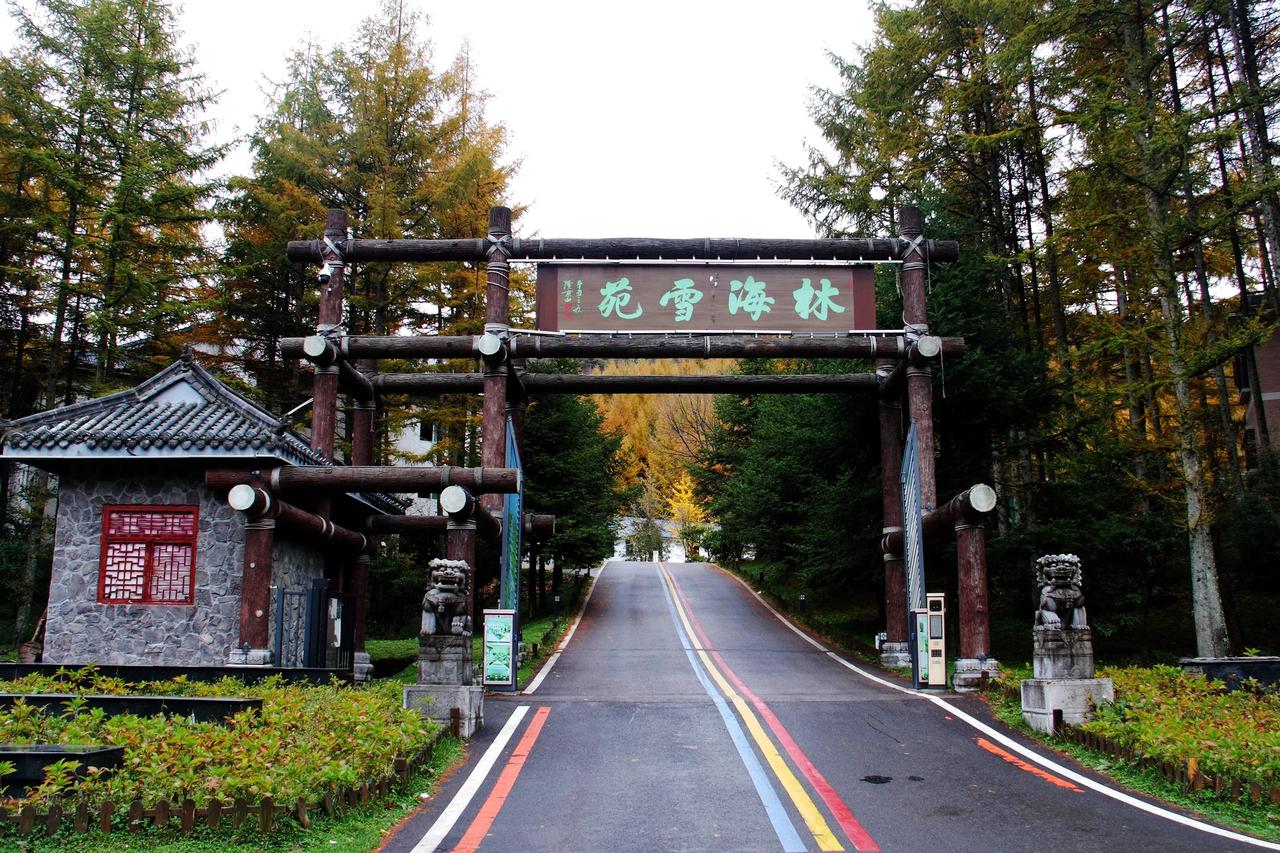 #秋日生活打卡季#


【曾家山林海雪苑 风景二】20241105

进入“林海