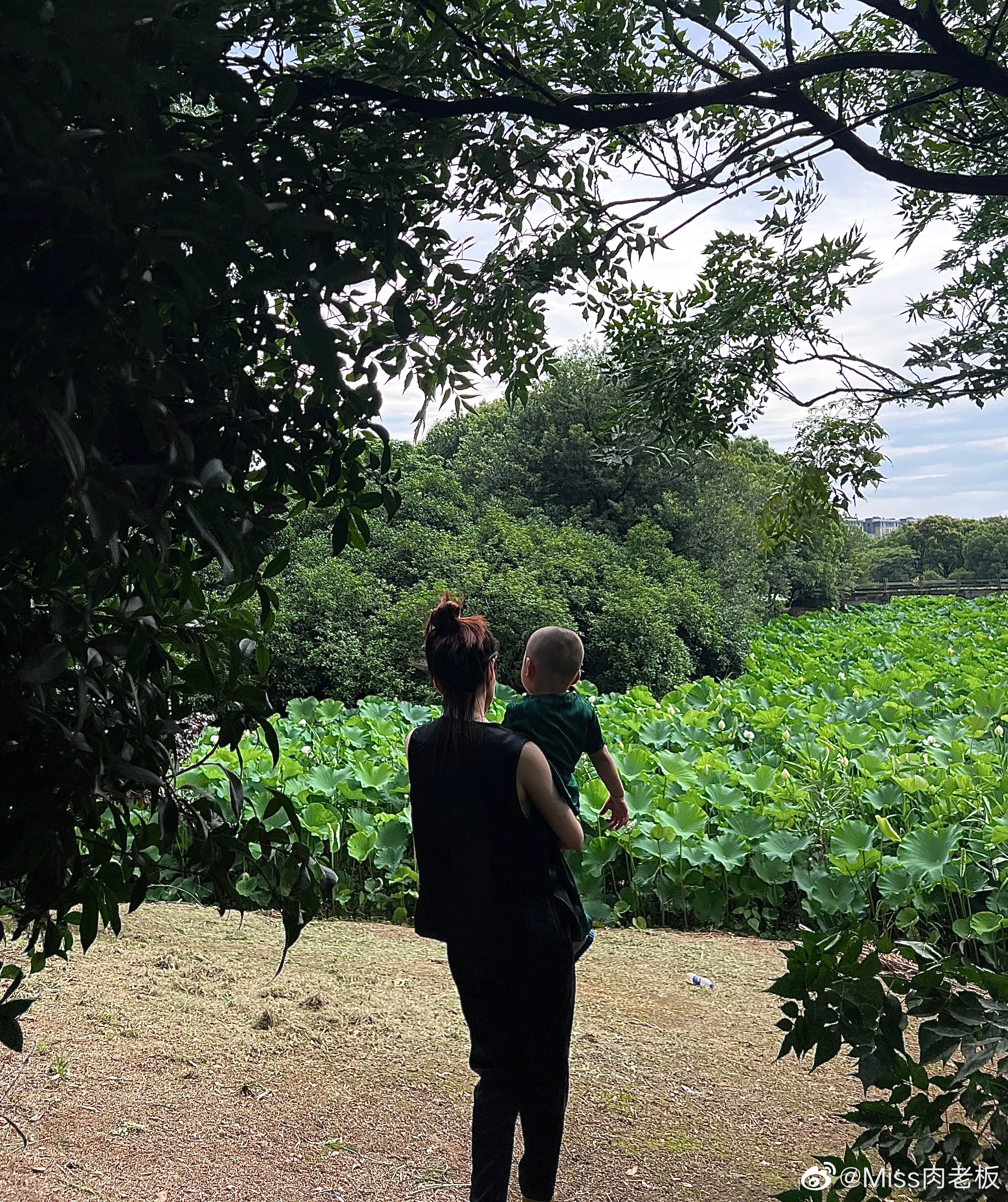 端午碎片 ​​​