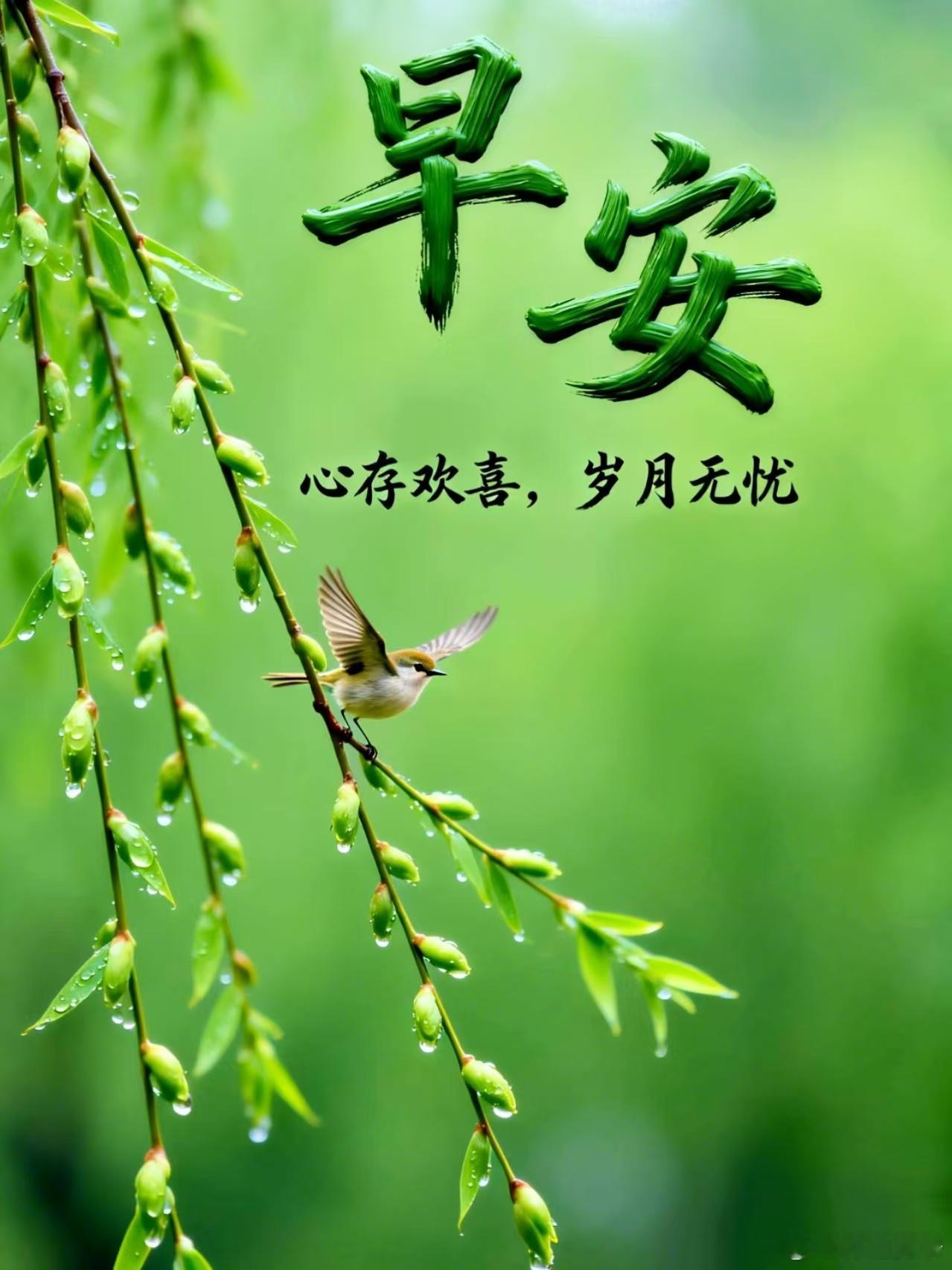 宽窄思语 世间本无事，庸人自扰之。那一滴挂在柳梢的露珠，未曾执着于停留，却在阳光