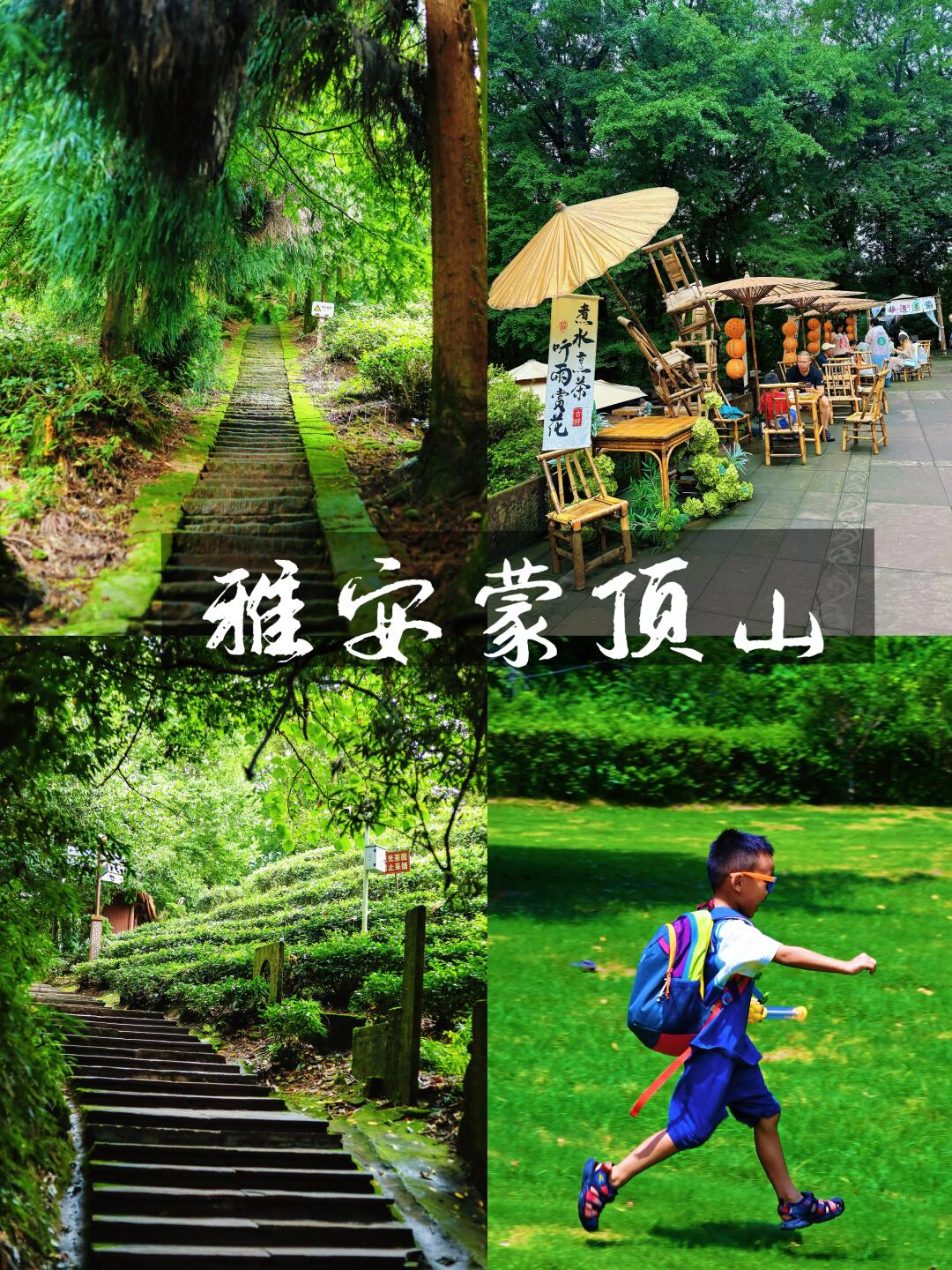 成都周边遛娃‼️蒙顶山亲子徒步全攻略拿奖牌