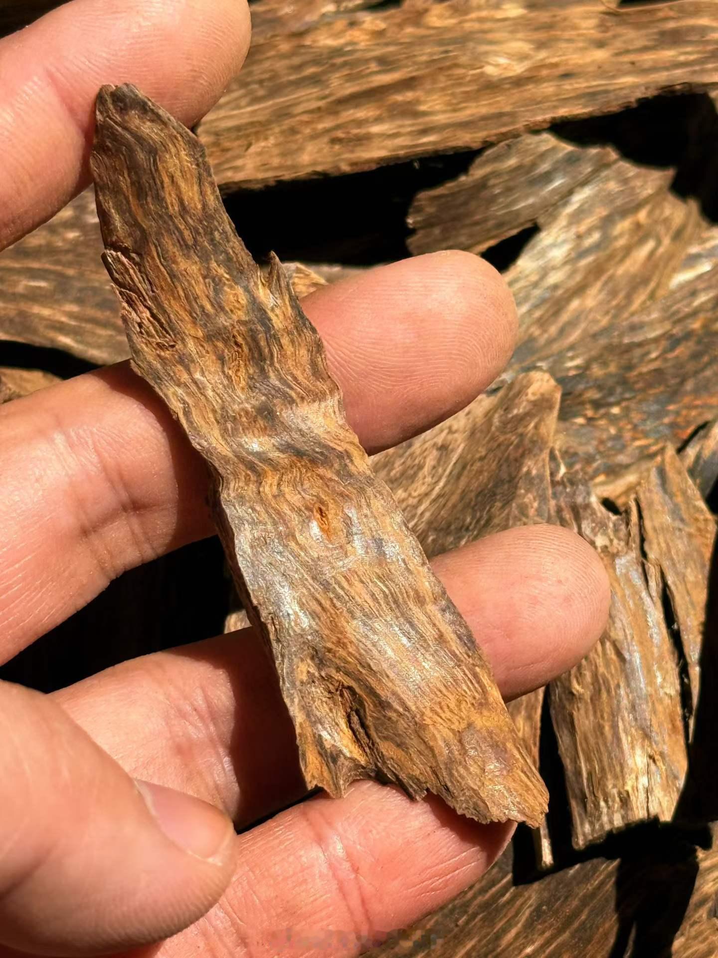 柬埔寨根皮料满黑油沉香柬埔寨根皮料满黑油沉香，树种为厚叶蜜香树（Aquilari
