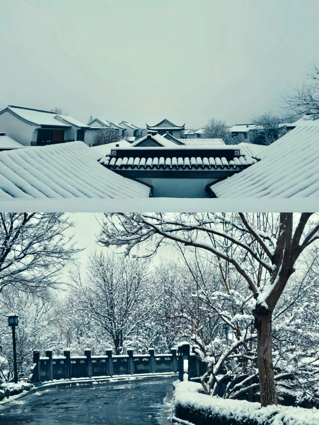 石家庄春季的雪❄️
