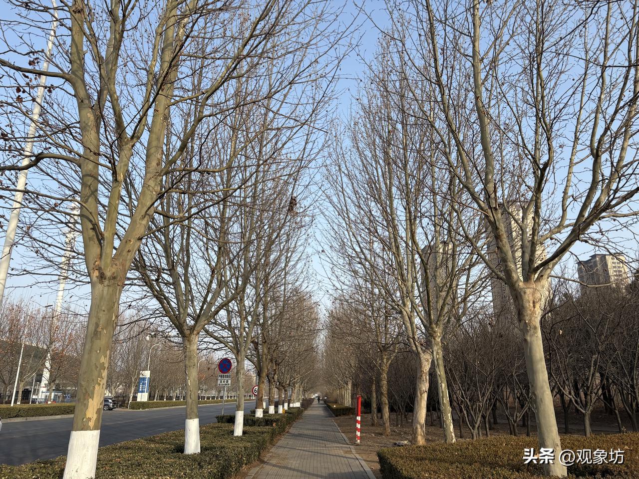 当年轰轰烈烈的塑料袋禁塑令，现在怎么没有人提了？

如果你现在走进任何一家超市、