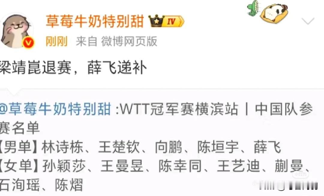 国乒男队出征横滨好可怜！看似5个人！实则就两个人[捂脸]
有一个守半区，而有个命