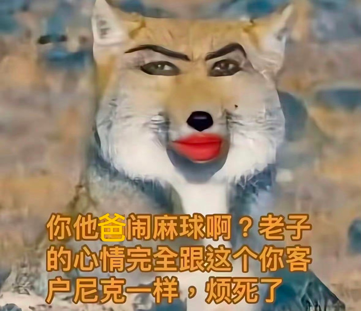 大姐大哥你们到底在干啥，大女主利益都保障不了你们能干啥？所有人退圈吧好吗，你们这