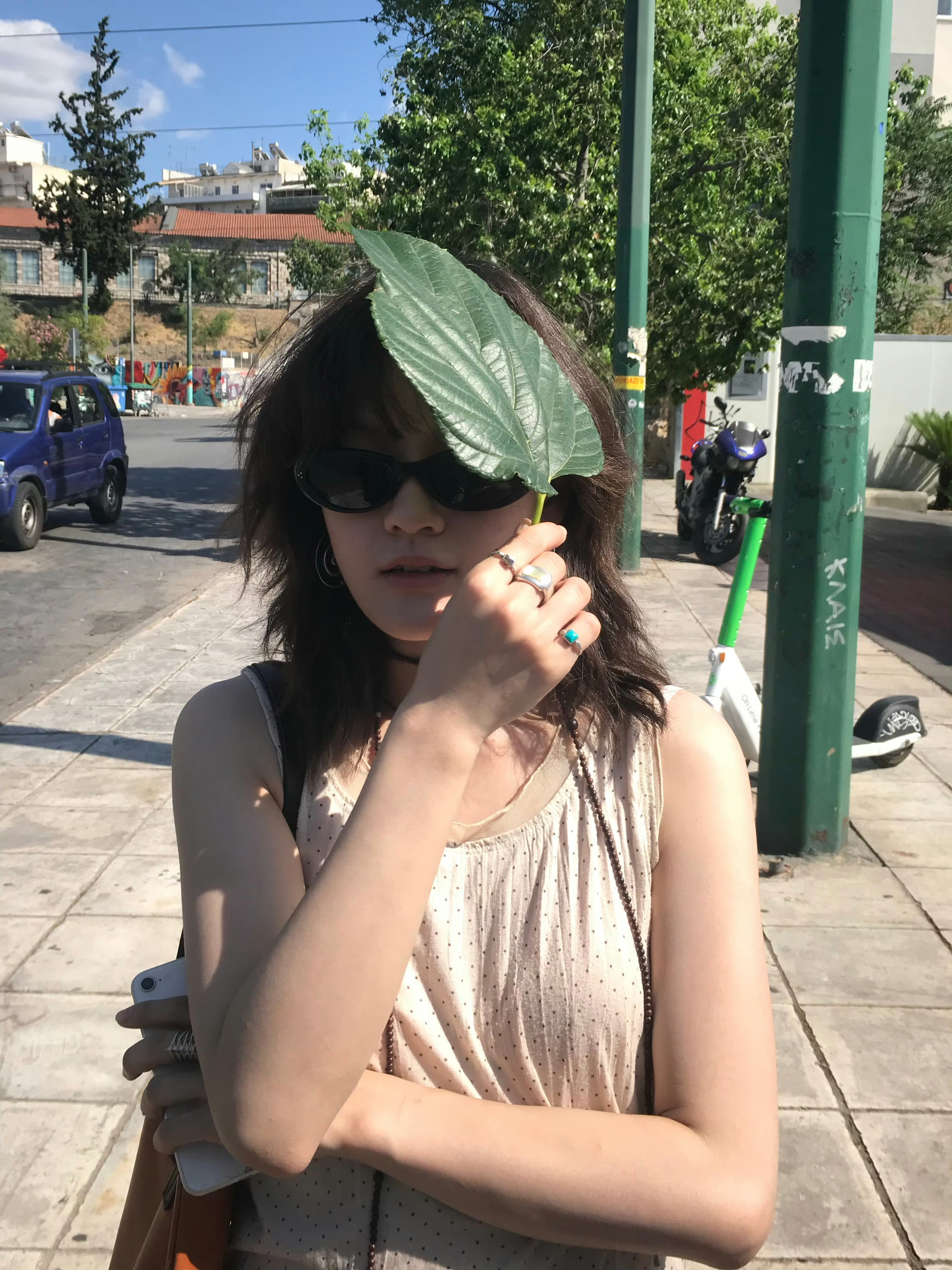 这不是你最爱的夏天吗淇淇 