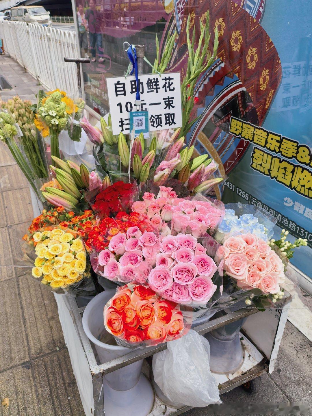 昆明马路边的鲜花自助