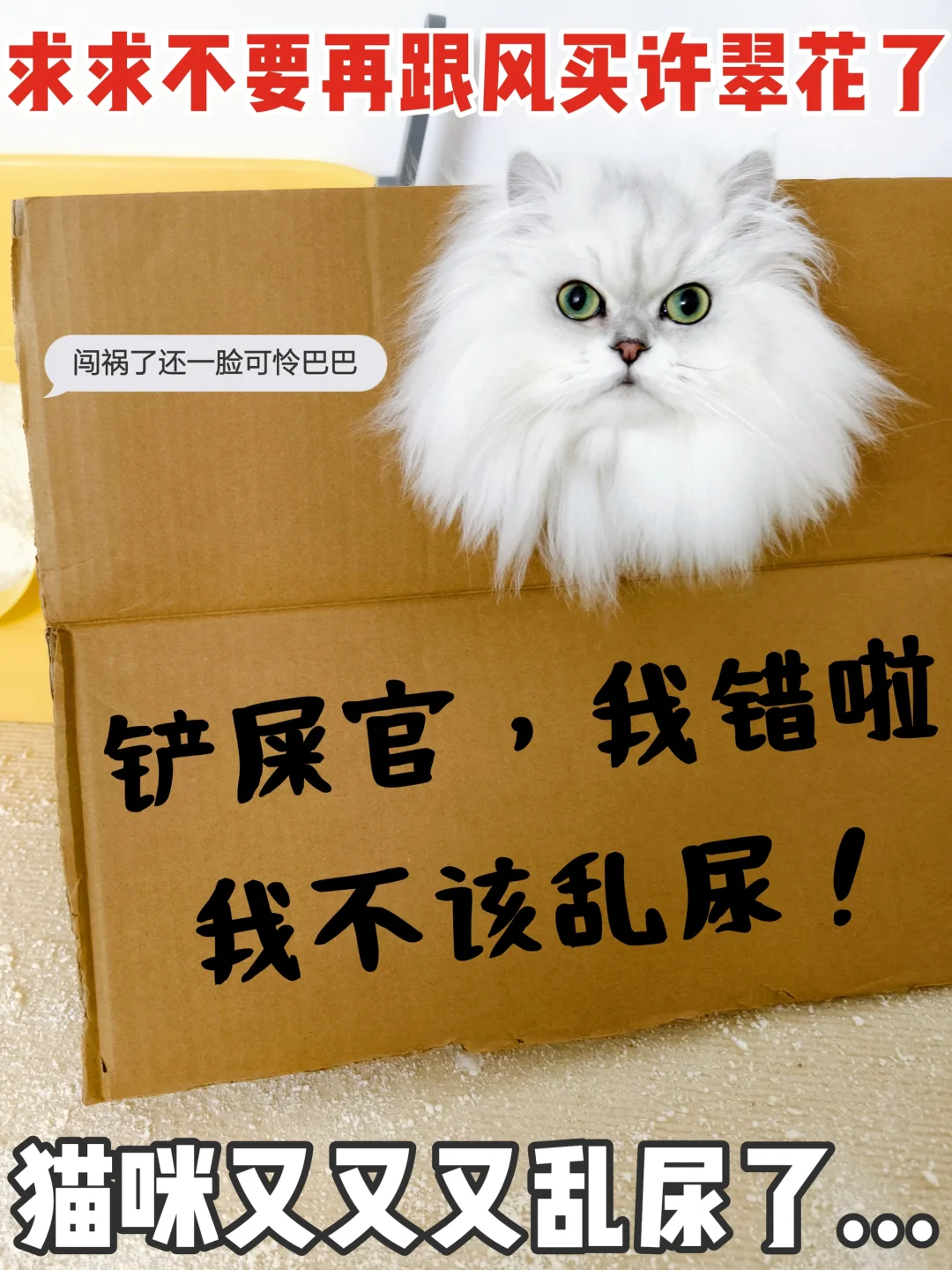 别再跟风了！！求求都少买点儿许翠花猫砂吧
