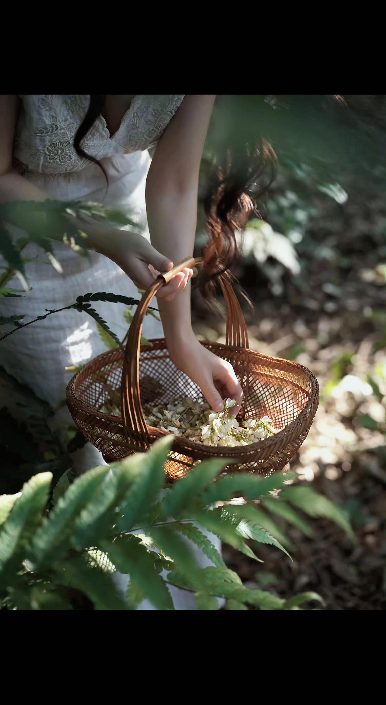 🌿指尖轻捻星子落满竹篮，碎光在叶脉间跳圆舞曲💃。原来岁月从不是偷走诗意的贼，