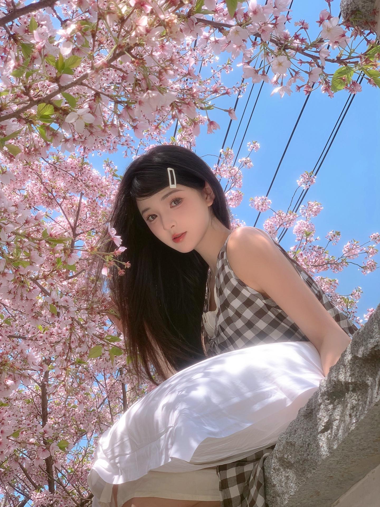 在樱花树下做了一场梦。最近在青岛旅拍玩儿～特别特别漂亮的一棵樱花树
