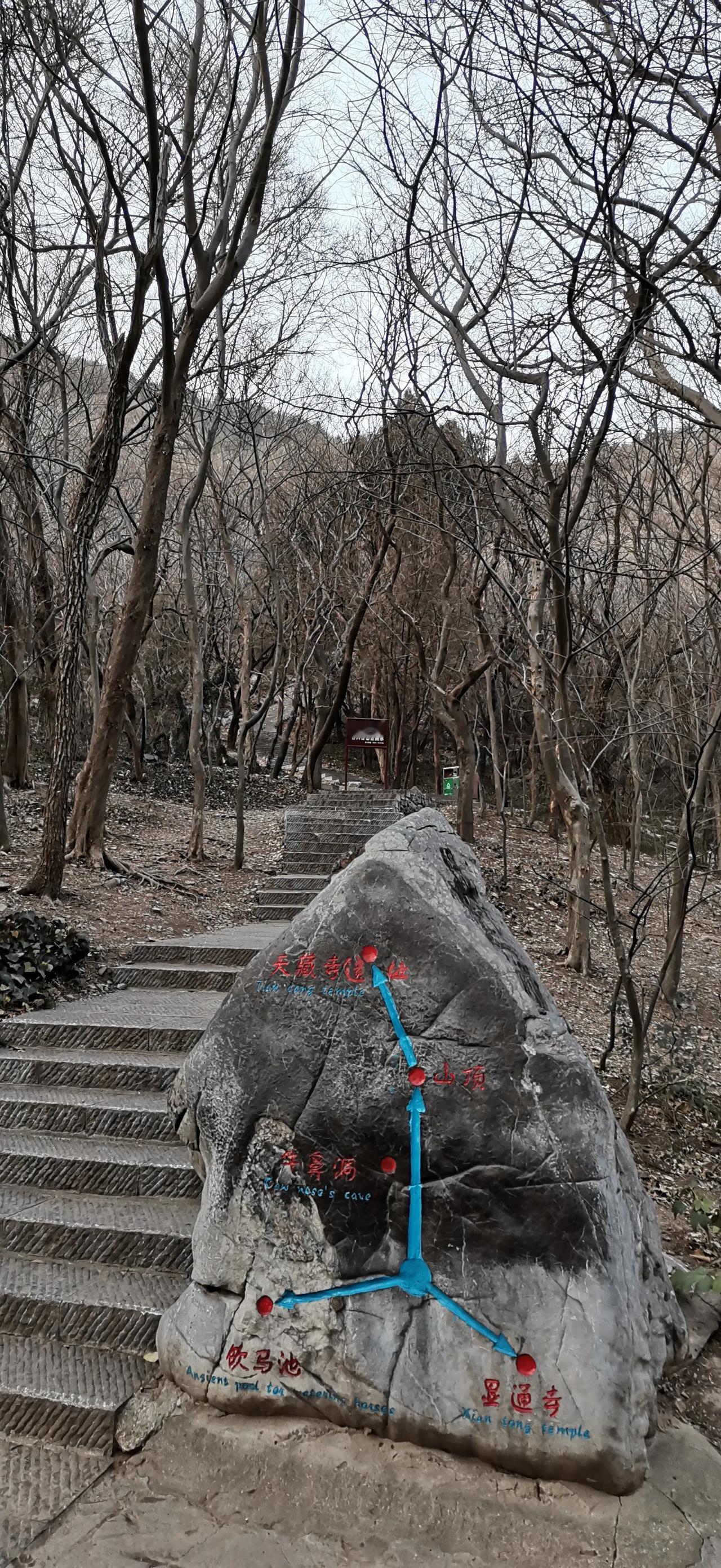 随手拍，记录美好瞬间