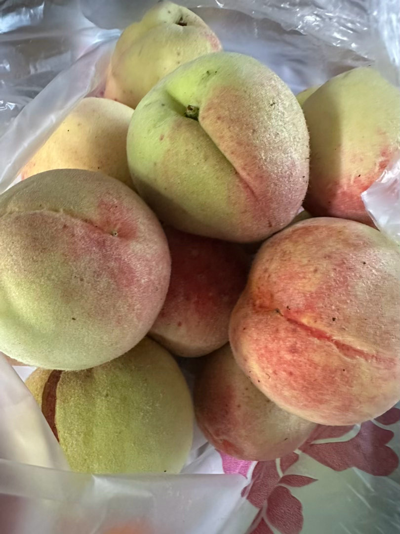 沒有黃金桃🍑，但有親戚種的桃子🍑，脆脆的口感我喜歡。但還是好想吃丹東的黃金桃