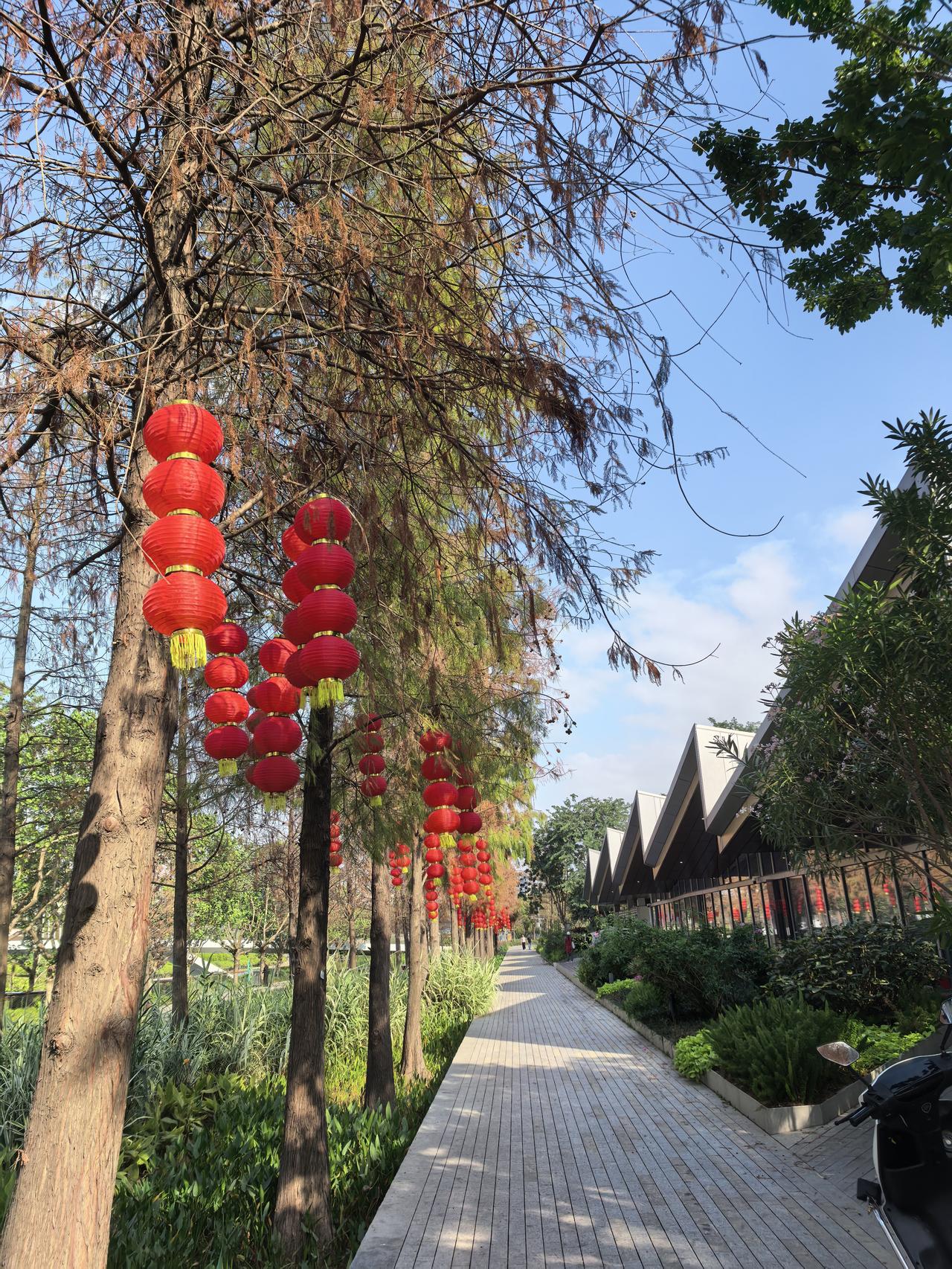 除夕到过年这几天，家庭最忌讳的莫过于吵架，说不吉利的话。这是祖祖辈辈老人传下来的