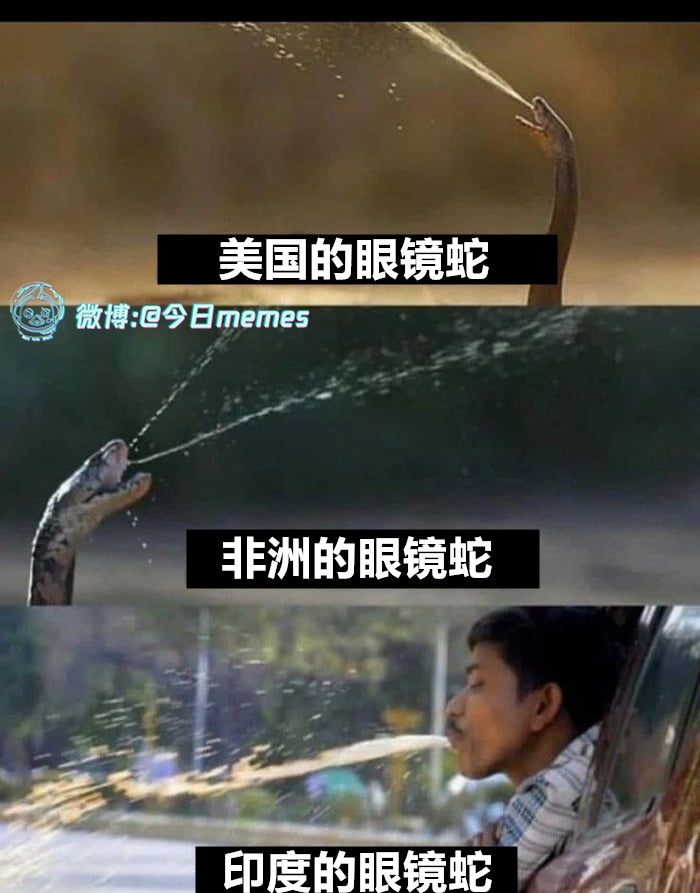 会双喷（9gag）今日meme今日memes