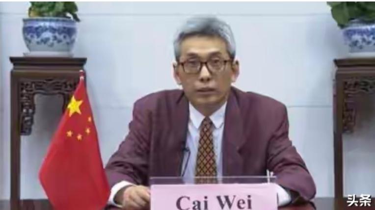 外交部领导班子突发变动，亲历休斯顿总领馆关闭，荣立集体三等功，老外交人蔡伟走上新