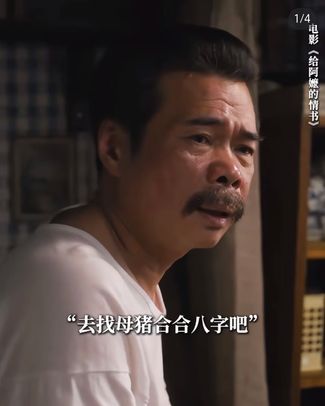 南枝的爸爸原来是我们的老熟人看电影的时候我就觉得眼熟，跟周树人先生这么像，这不就