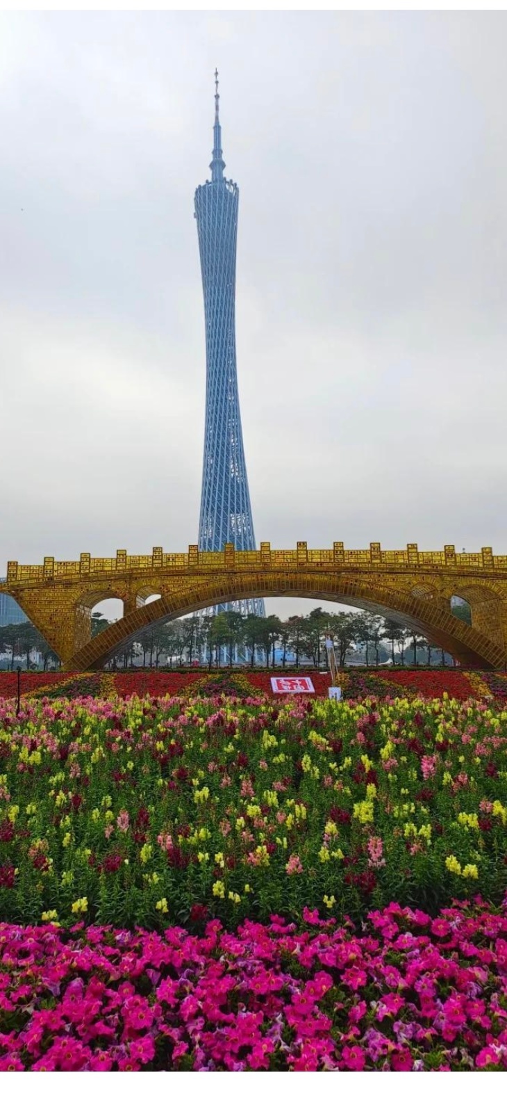 广州的年味，从花市开始  余春未闻爆竹声，先见满城花。广州的年味，从来不是刻意营