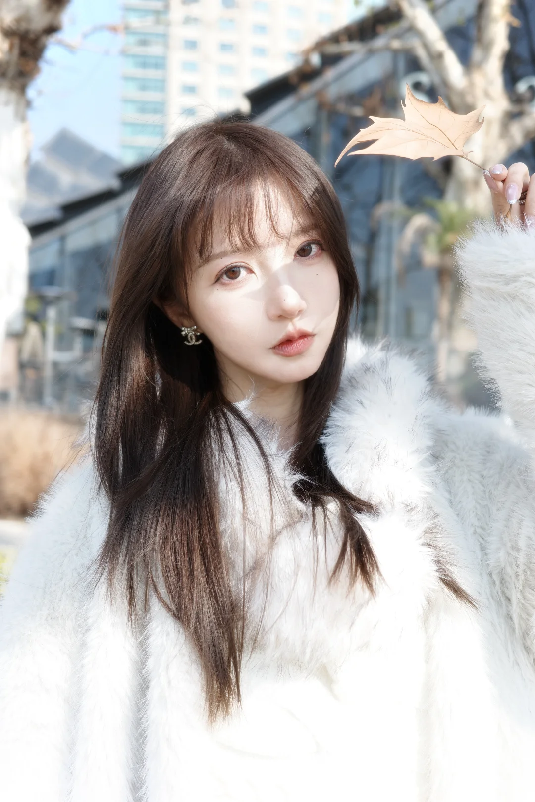 🍁某年某月某一天