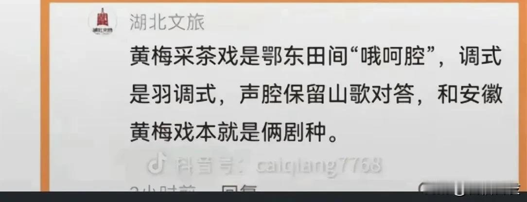 某是发源论的构建，核心论述就是说哦呵腔是黄梅戏的源头声腔，说黄梅戏是在哦呵腔基础