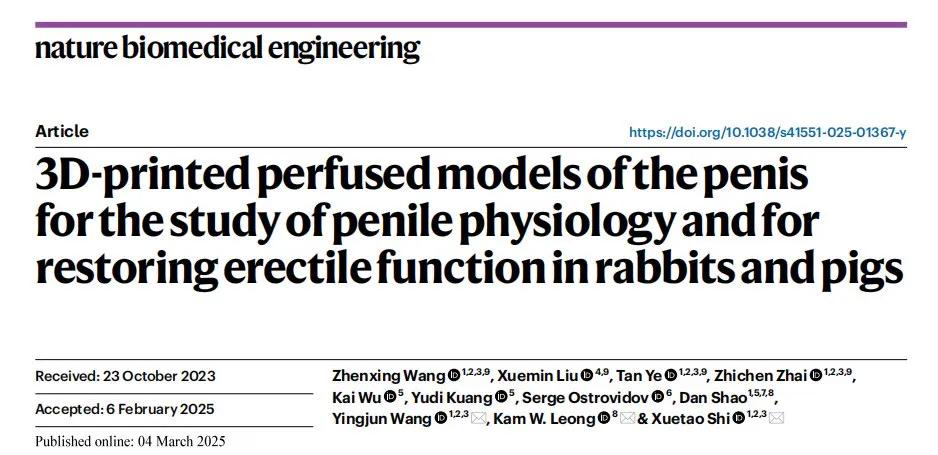 3D打印「人造海绵体」问世！中国团队成功修复动物勃起功能

华南理工大学团队在《