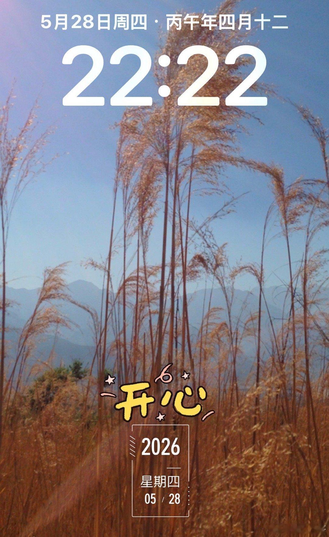 嗯基本圆满此时此刻 20260528。周四。四月十二。冒个泡日常碎片plog