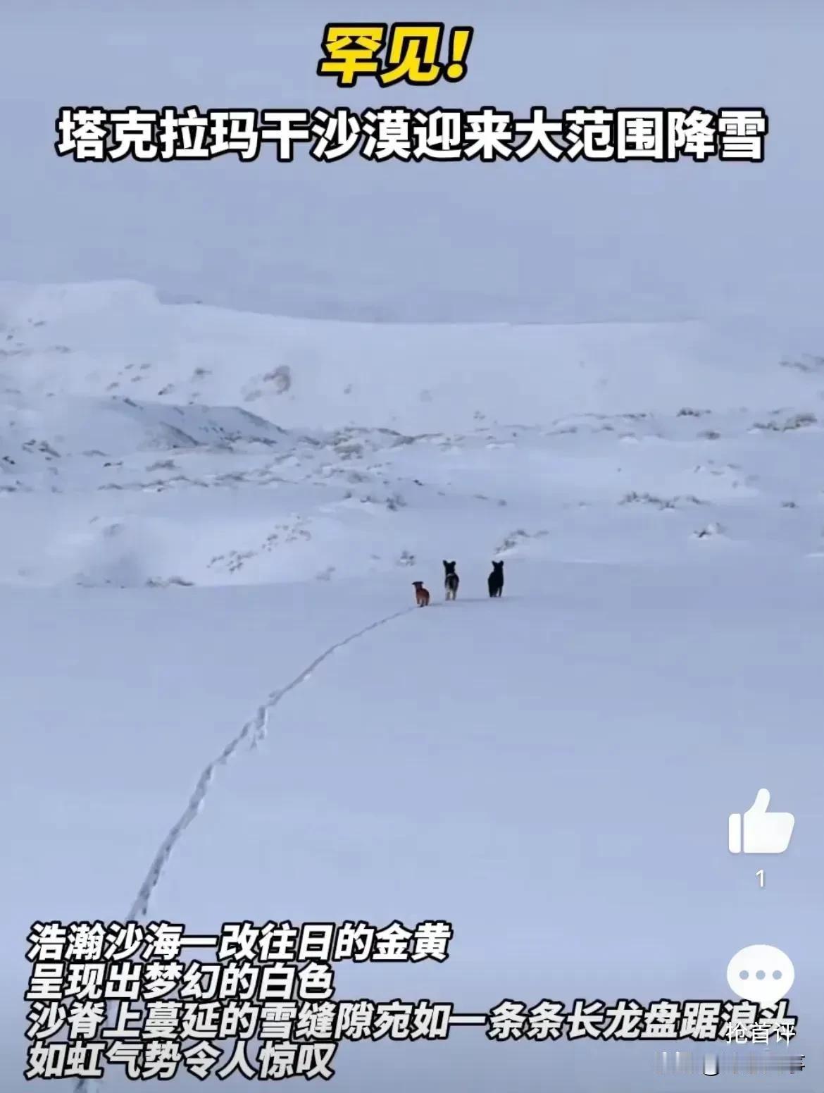 国运挡不住，塔克拉玛干沙漠迎来大雪

塔克拉玛干沙漠这次可是火了，刚被人类努力锁