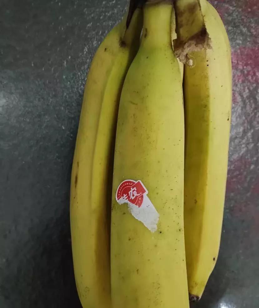 今年农村合作医疗医保380块钱了
还没到年底，今年农村合作医疗缴费金额已经出来了