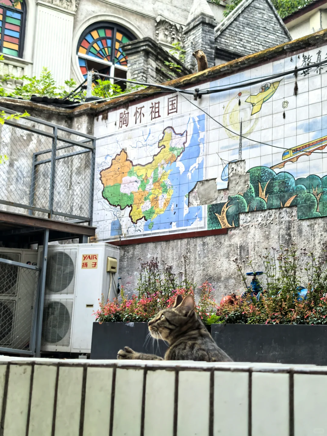 重庆攻略|别洪崖洞人挤人‼️山城步道太好逛